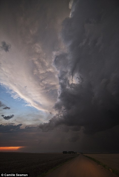 ��Ӱʦ��׽�������������𺳱���