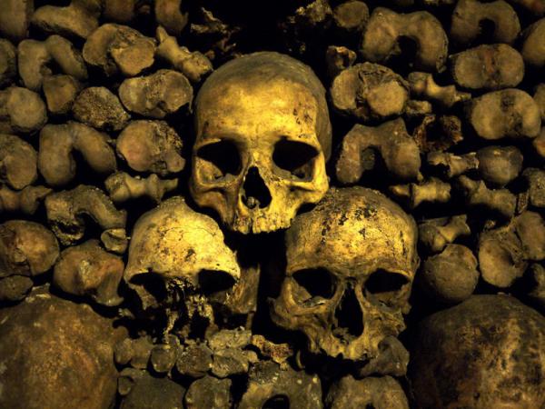 ̽�أ���������˹�ĹѨ ��С���룡��ͼ��