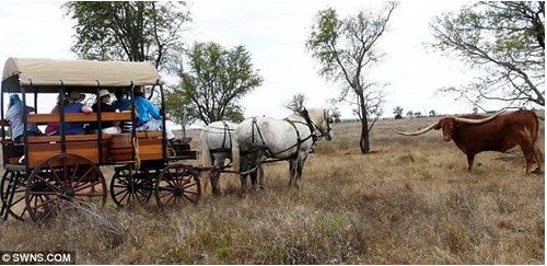 ������ţ ���������ţ��2.7686�ף�ͼ��