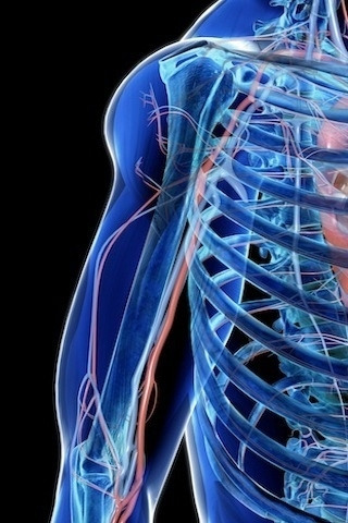 ��̾��ҽѧ3D������ͼ ��������ͼ