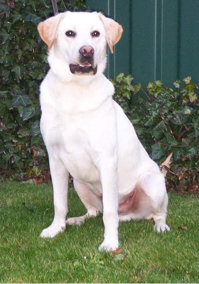 ���ط������ӵĲض������� ���治�У�ͼ��