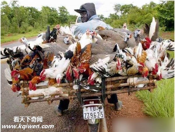 ���޸��ص�Ħ�г�ǿ�� ����Ц����(��ͼ)