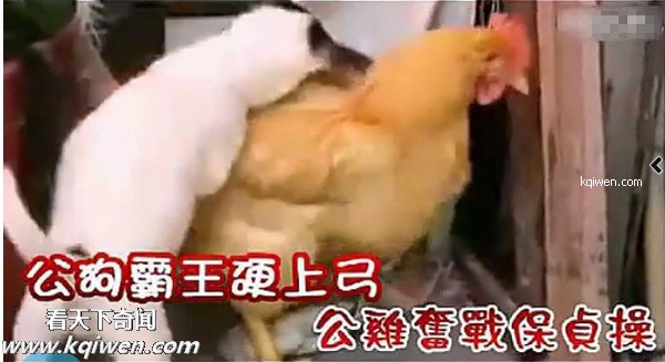 ��ɫС�������컯�����Ｆ(��ͼ)